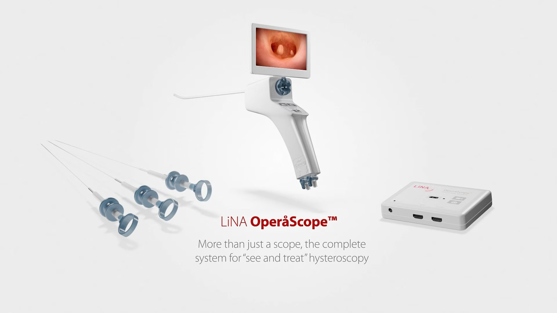 Endoscopy